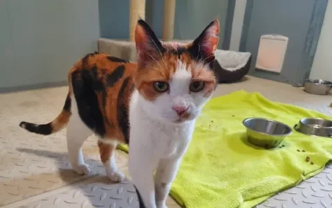 Bibi van 17 zoekt een nieuw huis!