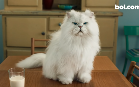 Bol.com maakt geen reclames meer met Perzische katten of Franse bulldogs