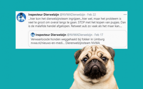 NVWA Inspecteur Dierenwelzijn: STOP met het kopen van pups!