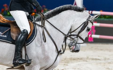 Minister Schouten miskent pijn bij paarden door gebruik bit