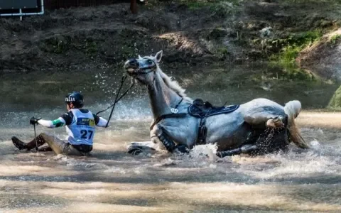 Crosscountry-wedstrijd Boekelo: dwang, pijn en ongelukken