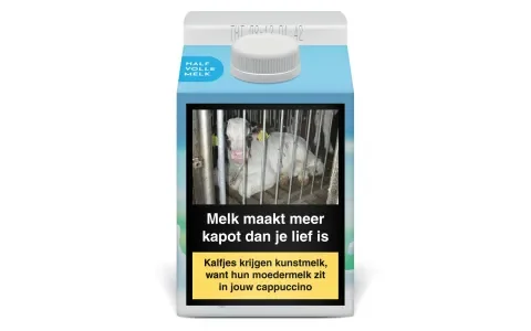 Dit deden we in 2021 voor de kalfjes!