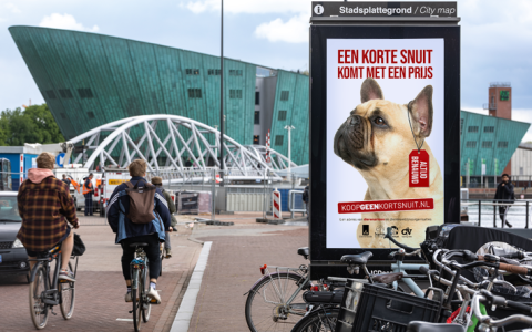Dierenartsen en dierenwelzijnsorganisaties waarschuwen: Koop geen kortsnuitige hond!