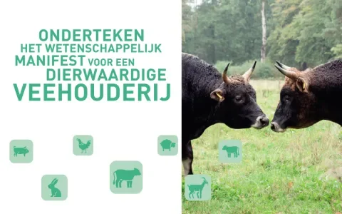 Manifest roept op tot dierwaardige veehouderij