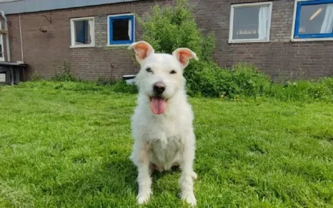 Mag Donja bij jou van haar pensioen genieten?