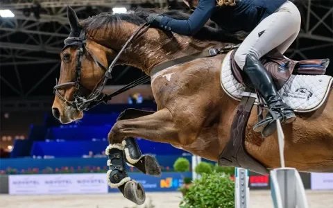 Jumping Amsterdam is niet diervriendelijk, toch is de gemeente wéér hoofdsponsor