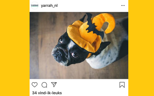 Yarrah