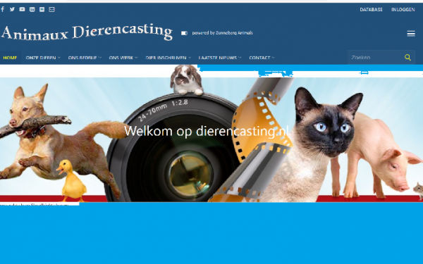Animaux Dierencasting