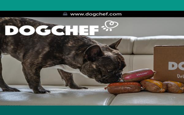 Dogchef