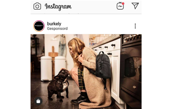 Burkley