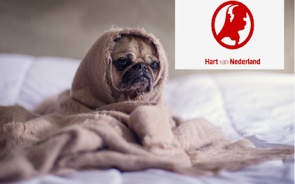 Hart van Nederland