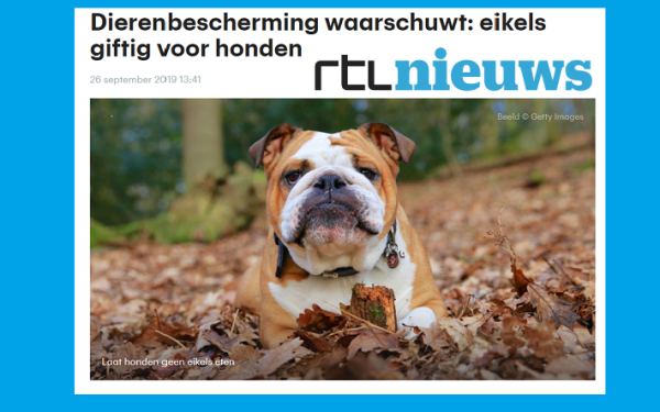 RTL nieuws