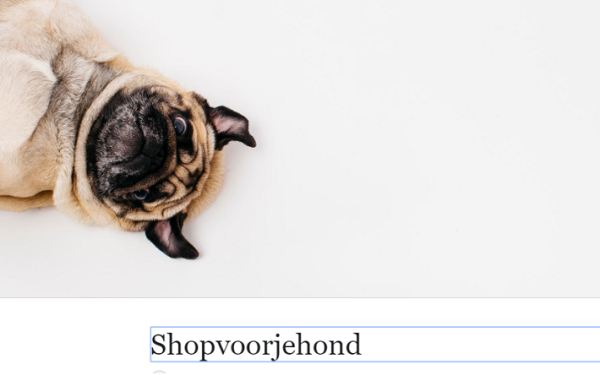 Shop voor je hond