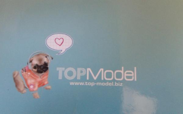 Topmodel