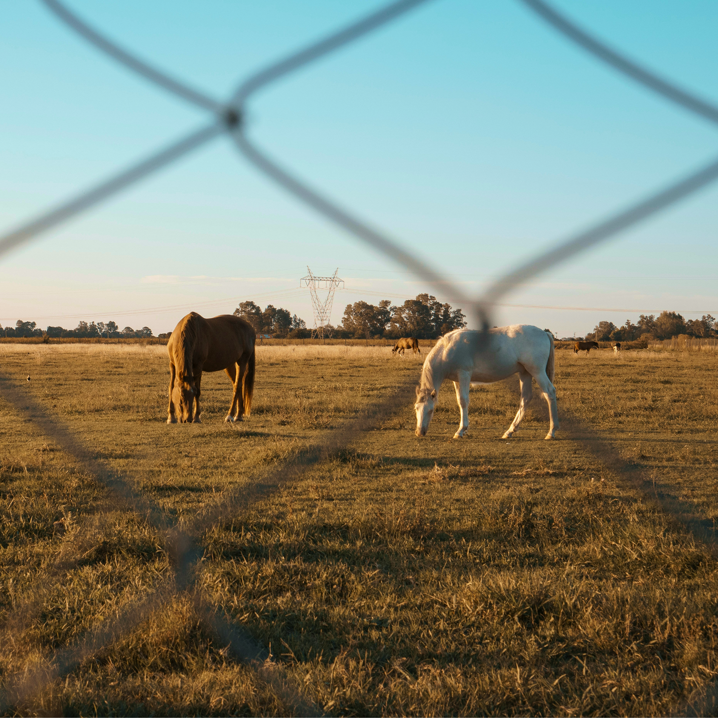 achtergrond afbeelding van formulier pagina