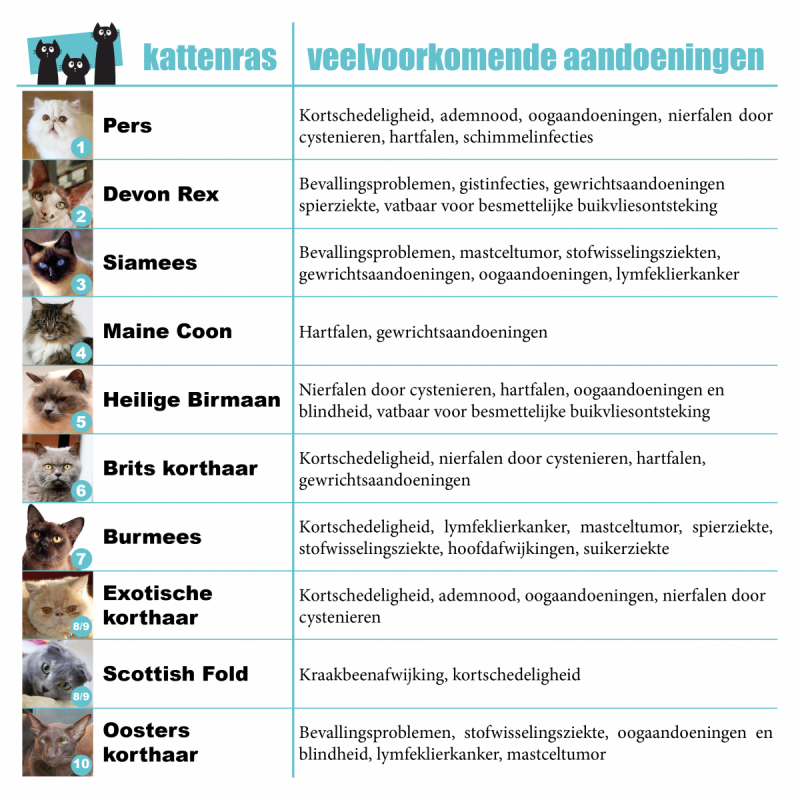 Tabel raskatten top 10