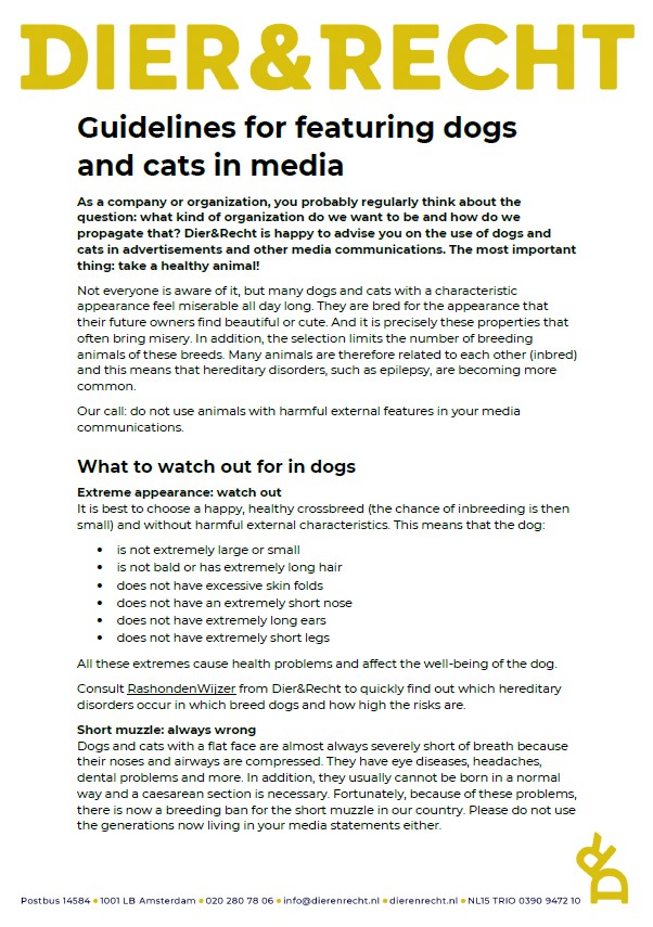 Guidelines for featuring dogs and cats in media